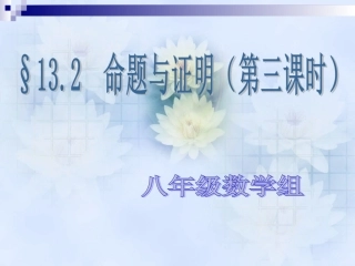 命题与证明第三课时