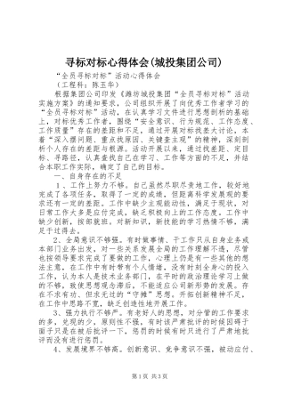 寻标对标心得体会(城投集团公司)