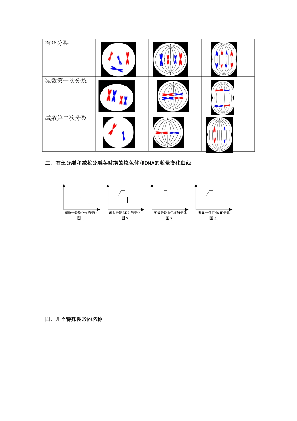 减数分裂与有丝分裂的比较及图像鉴别教案_第3页