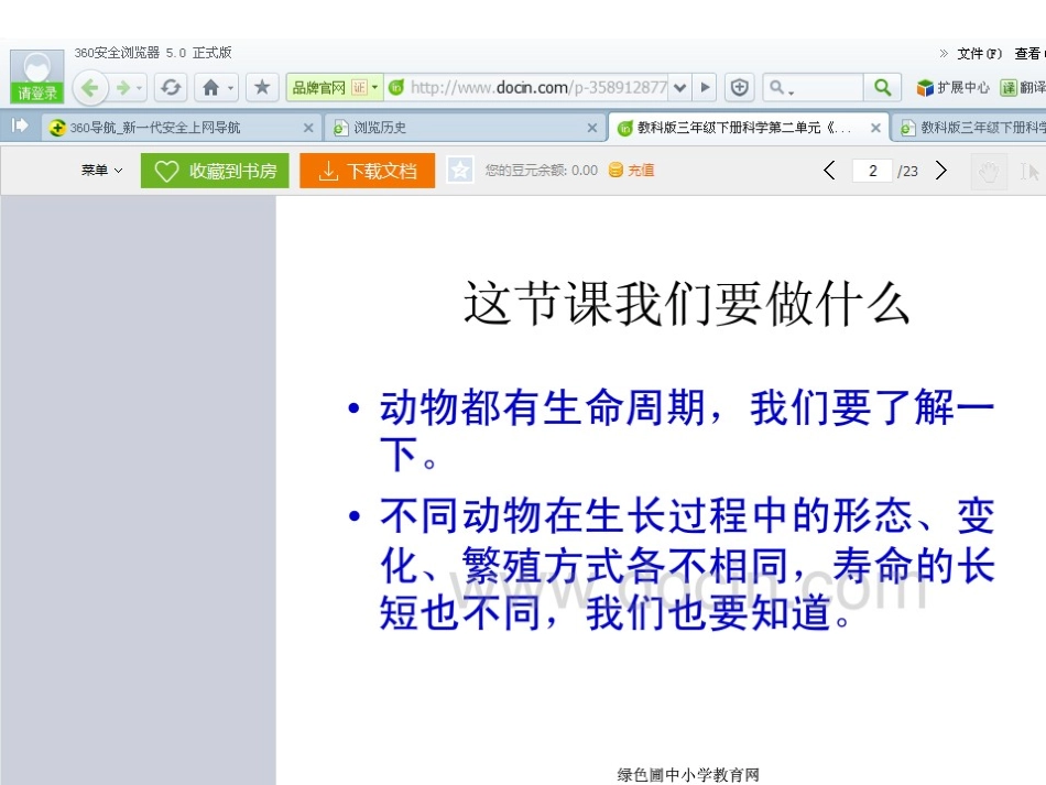 其他动物的生命周期_第1页