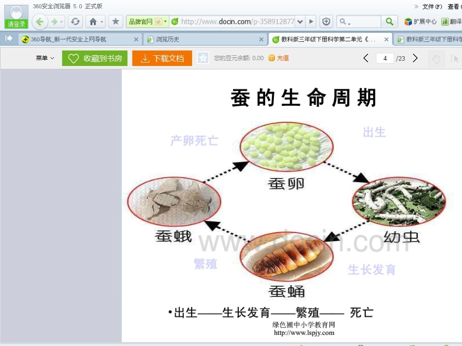 其他动物的生命周期_第2页