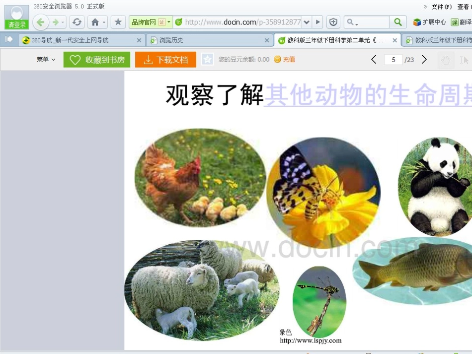 其他动物的生命周期_第3页
