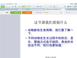 其他动物的生命周期