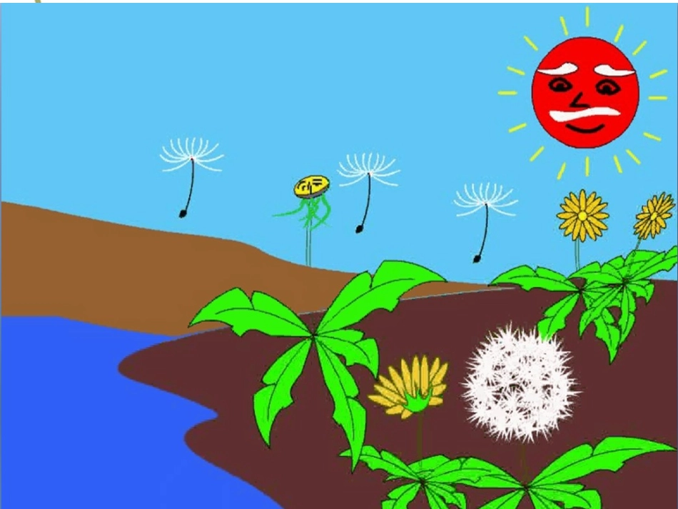 《蒲公英》课件2_第3页