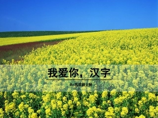我爱你，汉字