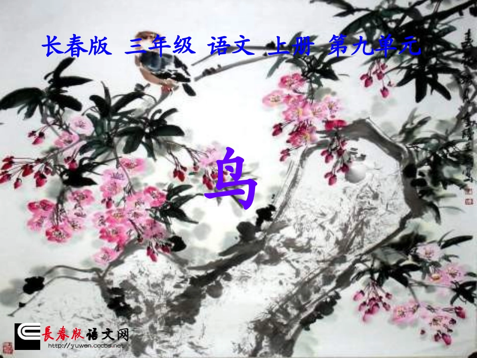 长春版二年级语文上册《鸟》PPT课件_第1页
