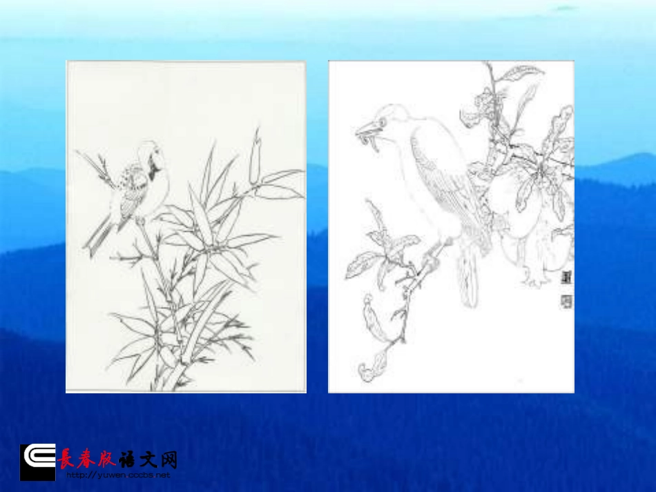 长春版二年级语文上册《鸟》PPT课件_第2页