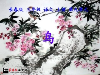 长春版二年级语文上册《鸟》PPT课件