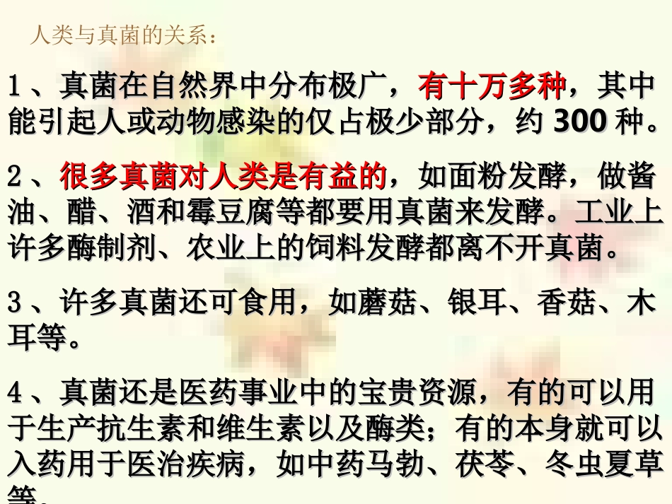 我的真菌课件_第3页