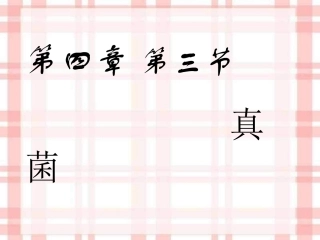 我的真菌课件