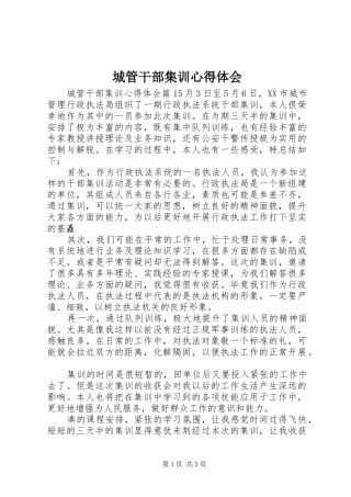 城管干部集训心得体会