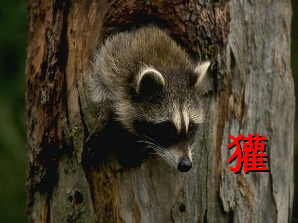 《称赞》课件 (2)_第3页