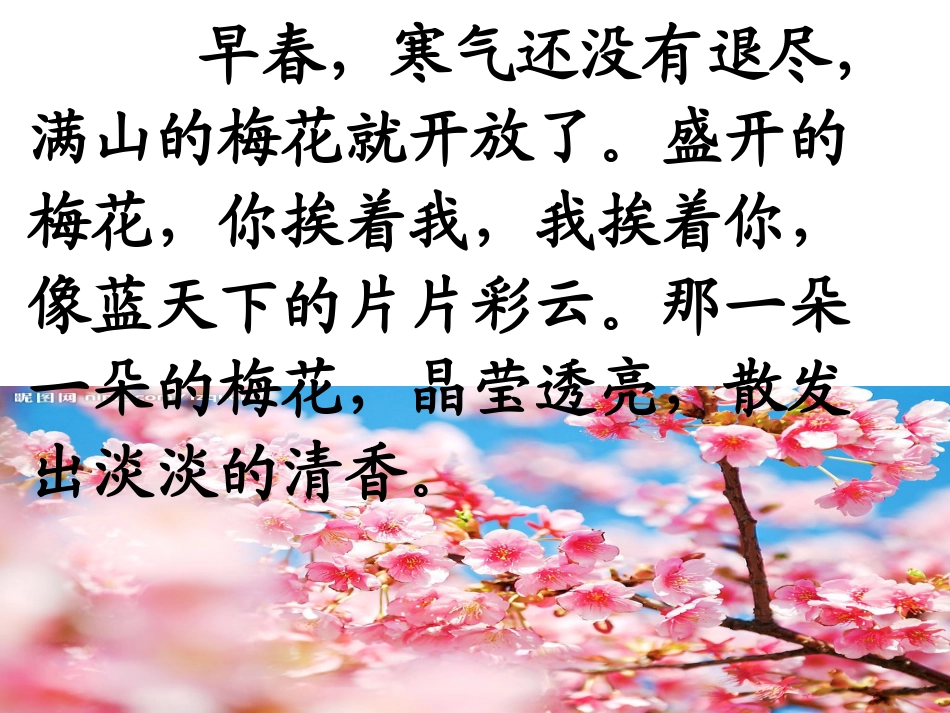 春到梅花山第二课时_第3页