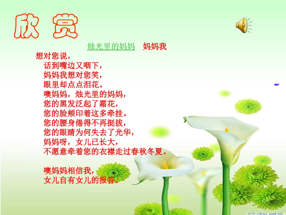 《我的母亲》_第1页