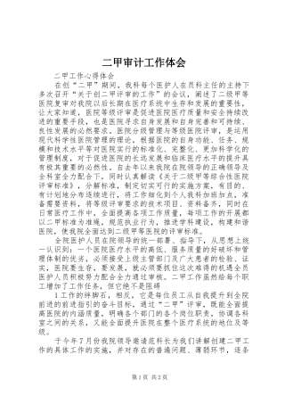 二甲审计工作体会