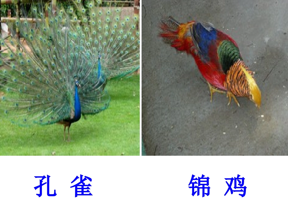 《识字7》课件(新课标人教版二年级上册语文课件)_第2页