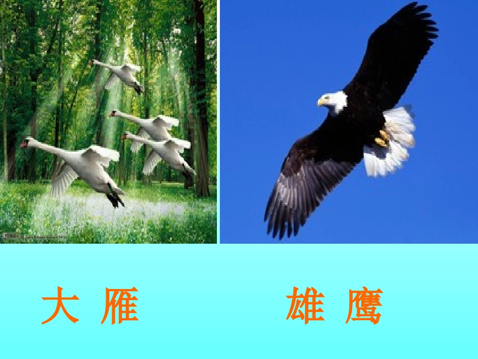 《识字7》课件(新课标人教版二年级上册语文课件)_第3页