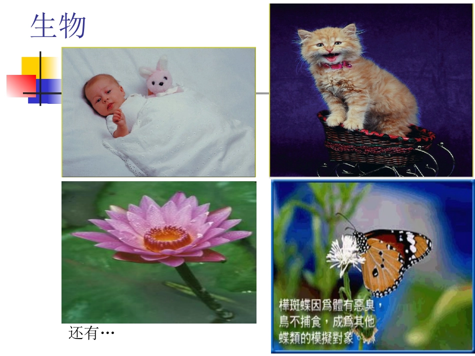 生物与非生物ZL第一课时_第2页