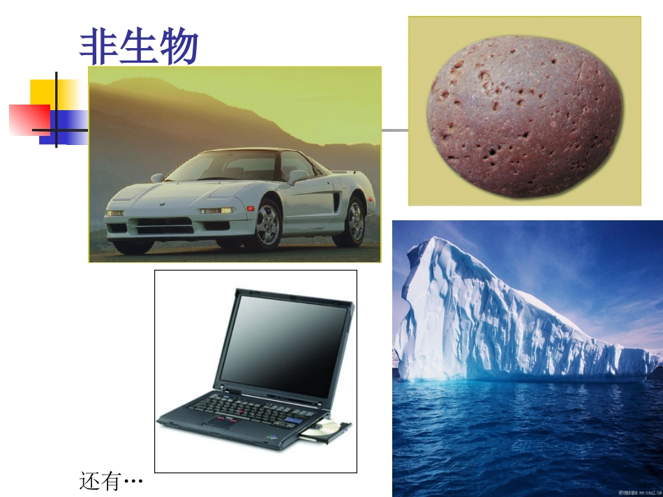 生物与非生物ZL第一课时_第3页