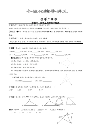 全等三角形全章复习讲义