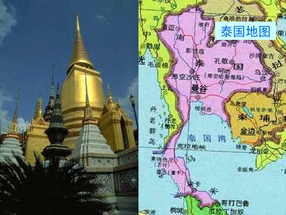 与象共舞课件 (3)_第2页