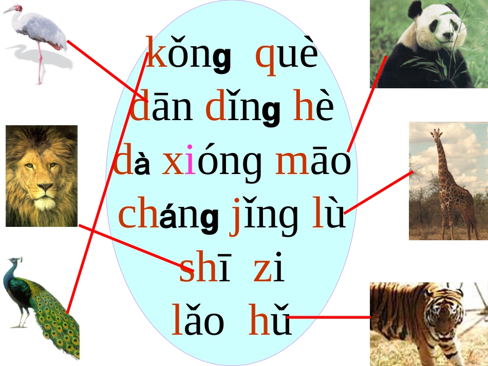 一年级拼音复习4_第3页