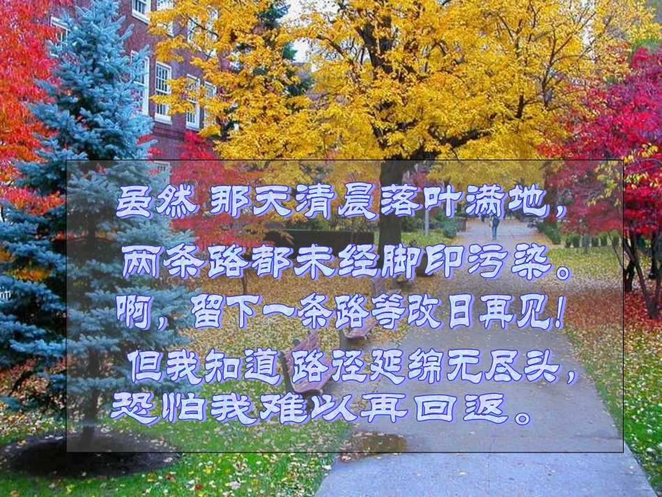 《未选择的路》教学课件_第3页