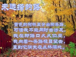 《未选择的路》教学课件