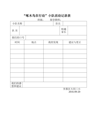 啄木鸟行动记录表