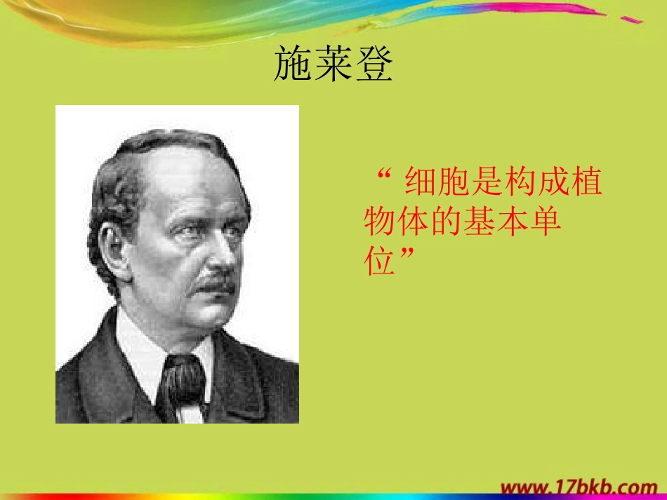 第三章《植物细胞结构和功能》课件_第2页