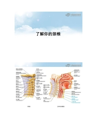 了解你的颈椎
