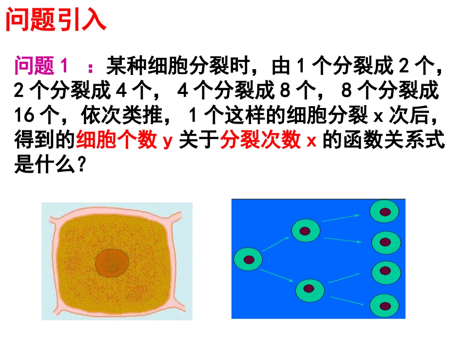 指数函数的概念与图象_第2页