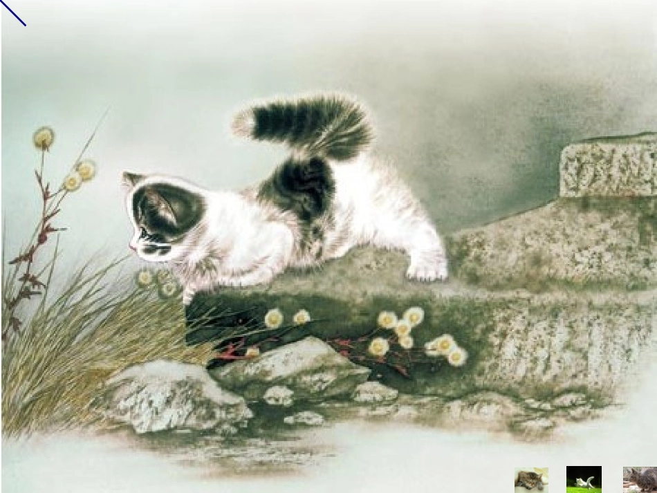 《猫》老舍(公开课课件)_第1页