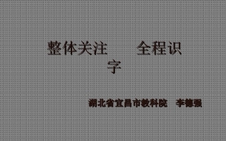 整体关注全程识字（湖北李德强）