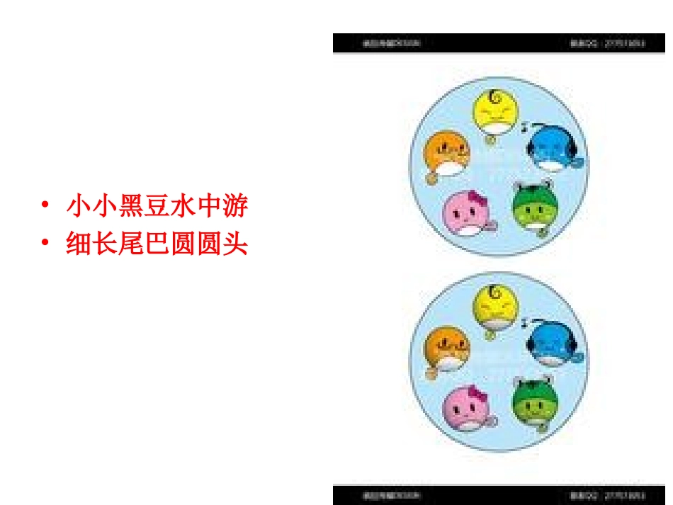 儿童美术课件小蝌蚪_第1页