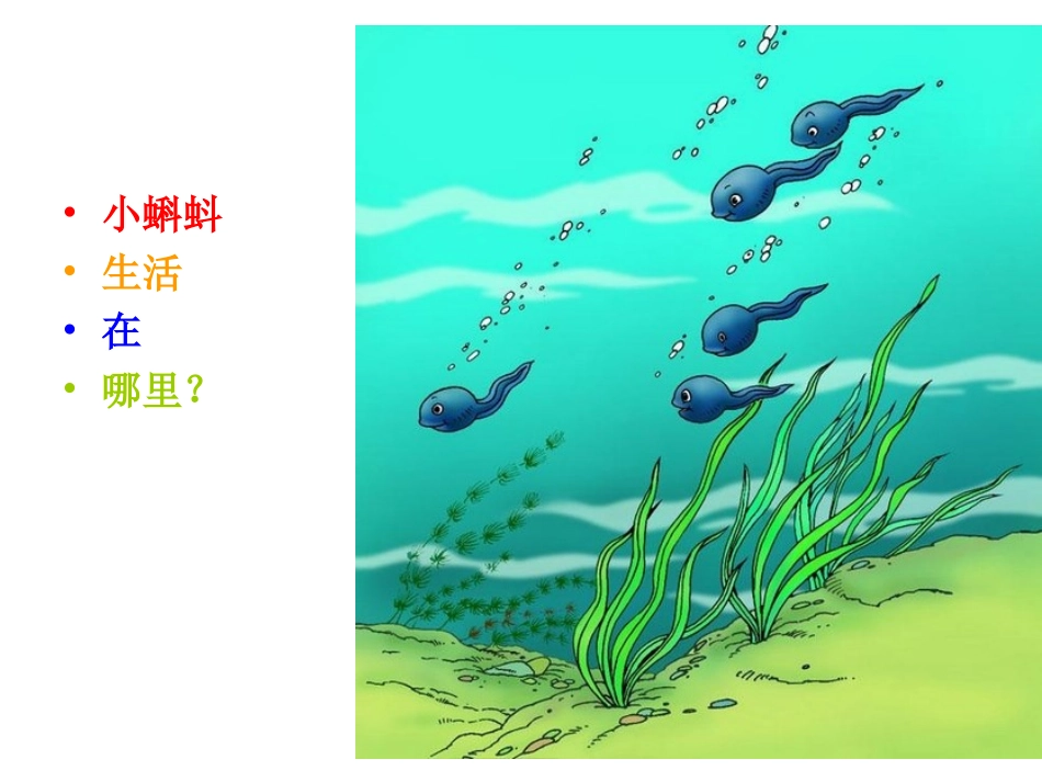 儿童美术课件小蝌蚪_第3页