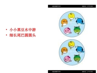 儿童美术课件小蝌蚪