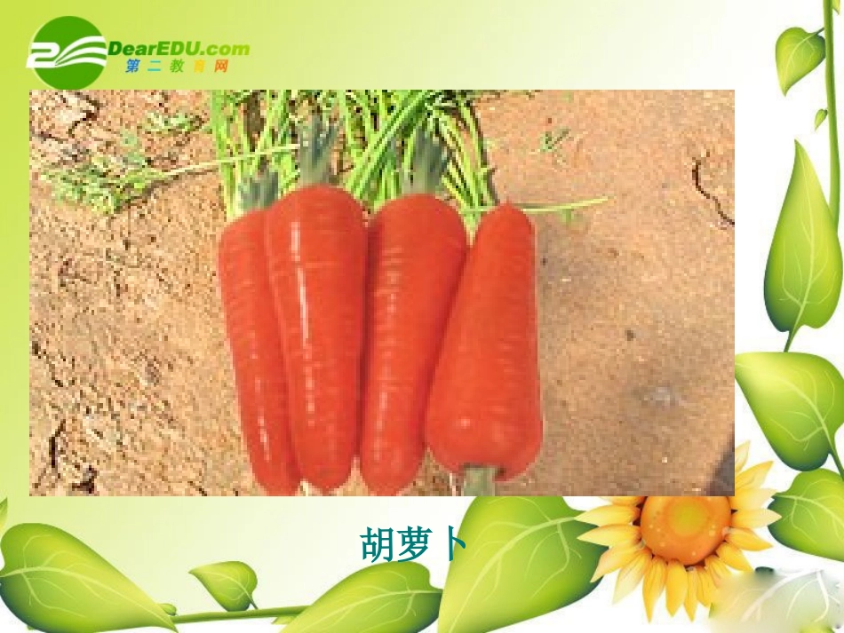 绿色植物对有机物的利用_第3页