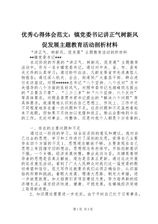 优秀心得体会范文：镇党委书记讲正气树新风促发展主题教育活动剖析材料