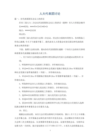 人大代表团讨论