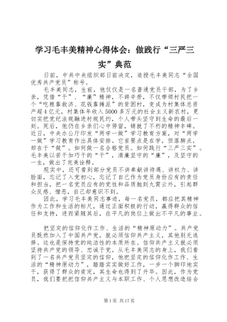 学习毛丰美精神心得体会：做践行“三严三实”典范