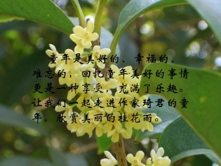 桂花雨完美版