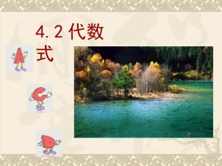 浙江省宁波市宁海县长街镇初级中学浙教版七年级上册数学课件：4-2代数式（共20张PPT）