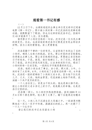 观看第一书记有感