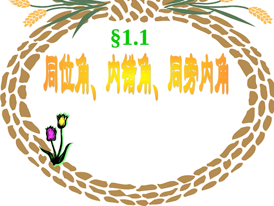 同位角内错角同旁内角 (2)_第1页