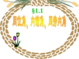 同位角内错角同旁内角 (2)