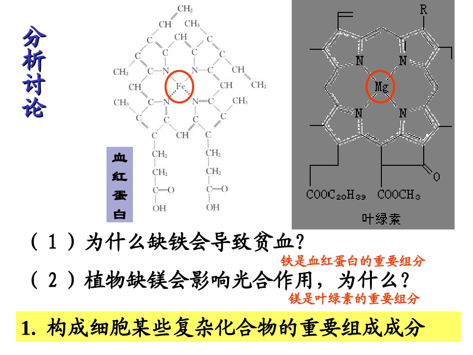 《无机物、有机物1》课件１_第3页