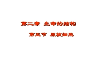 《原核细胞》课件１