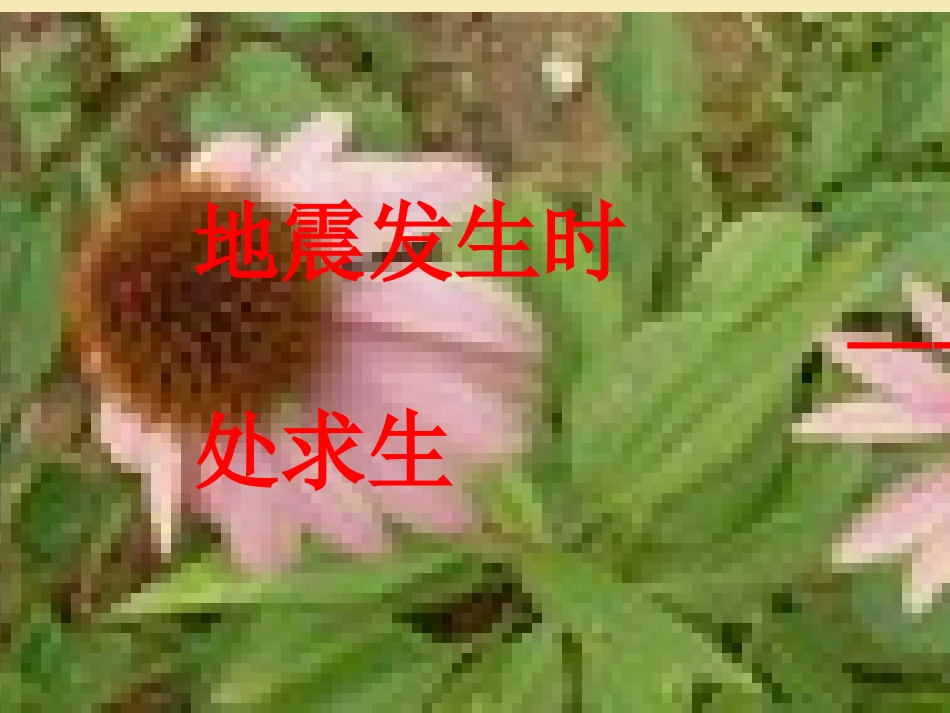地震发生时_绝处求生_课件_教科版四年级上册品德与社会_第1页