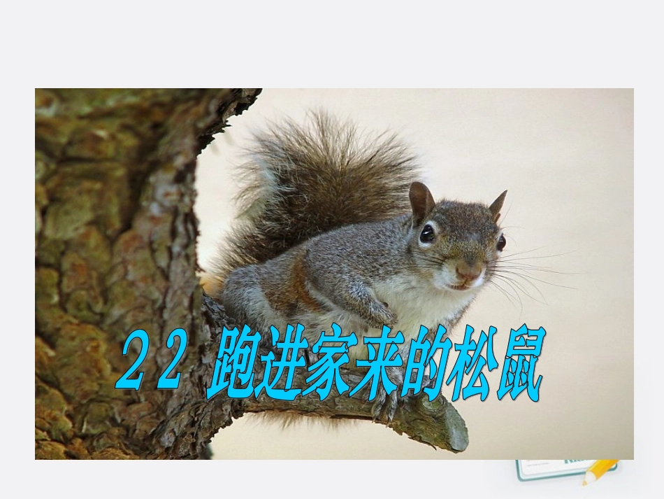 跑进家来的松鼠 (3)_第1页